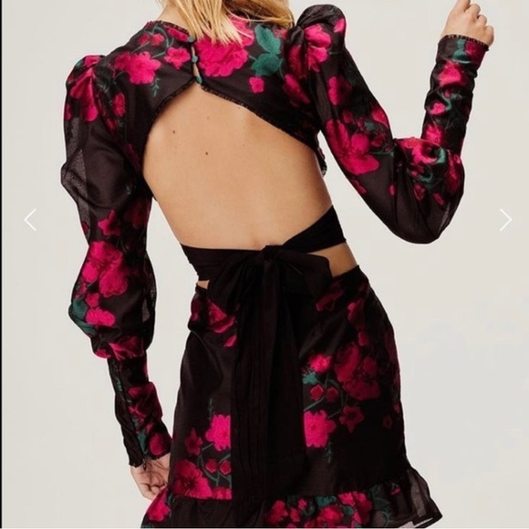 NWT For Love & Lemons Nico Dress 🌹Size 1X - Picture 6 of 13